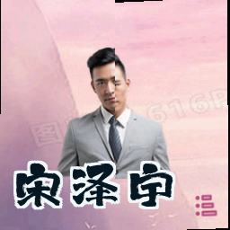 宋泽宇